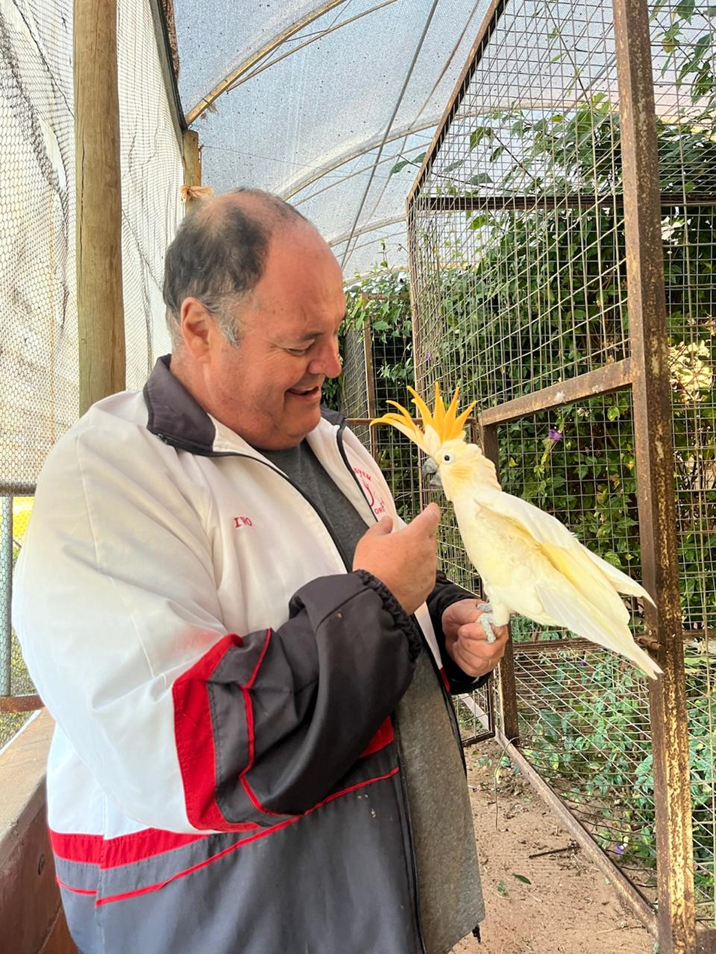 Ivo C�sar Filippi, fundador da Horizonte Pet Store, segurando uma calopsita